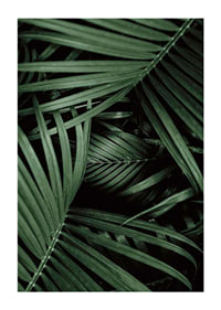 Intense Green No1-1