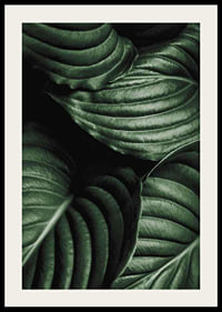 Intense Green No3-2