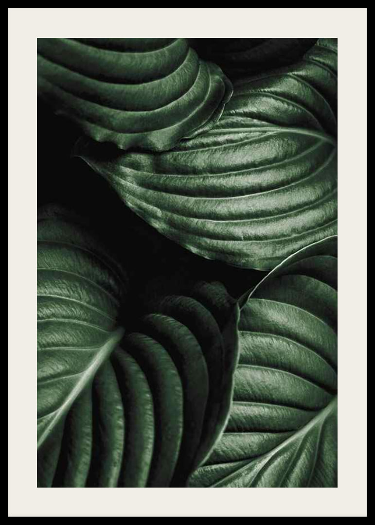 Intense Green No3-12