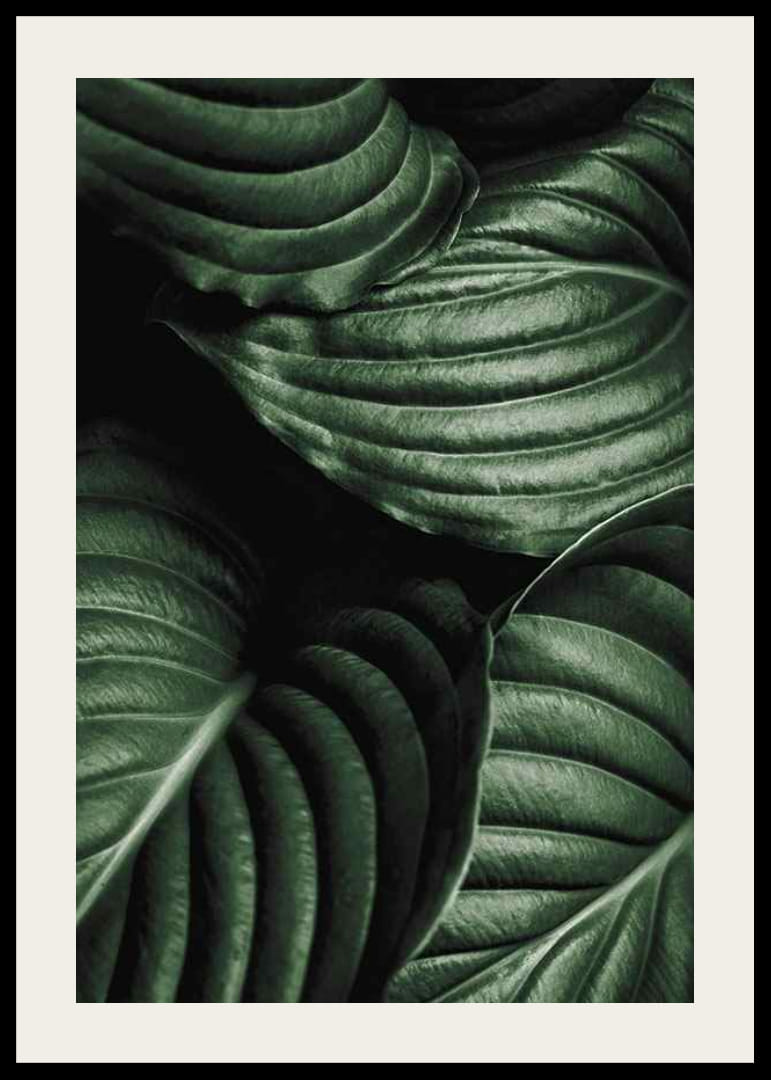 Intense Green No3-12