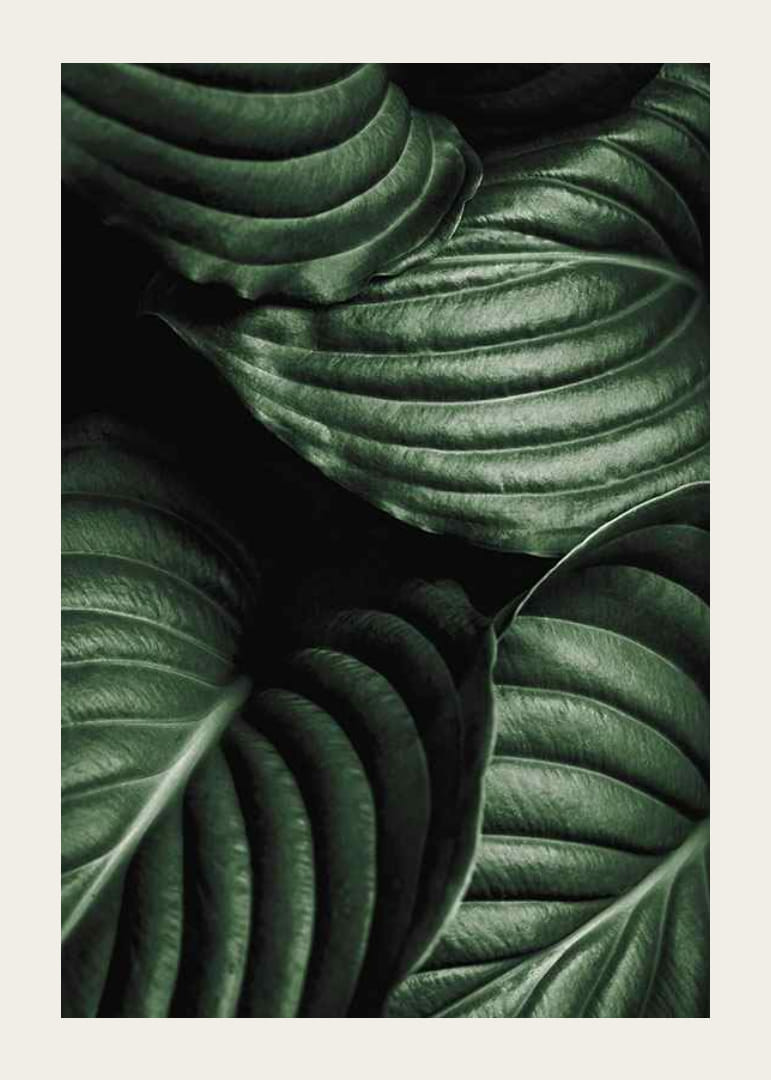 Intense Green No3-12