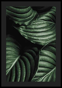 Intense Green No3-4