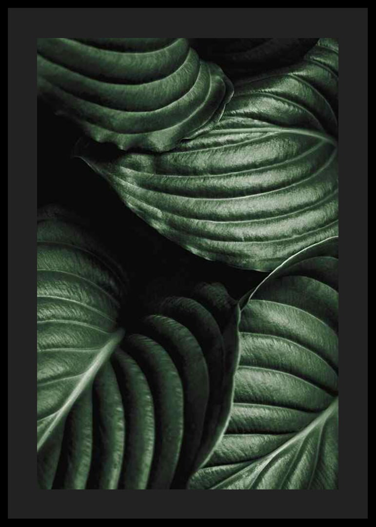 Intense Green No3-12