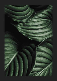 Intense Green No3-5