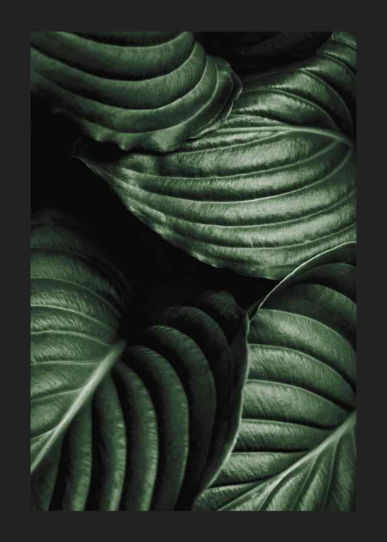 Intense Green No3-12