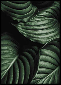 Intense Green No3-6