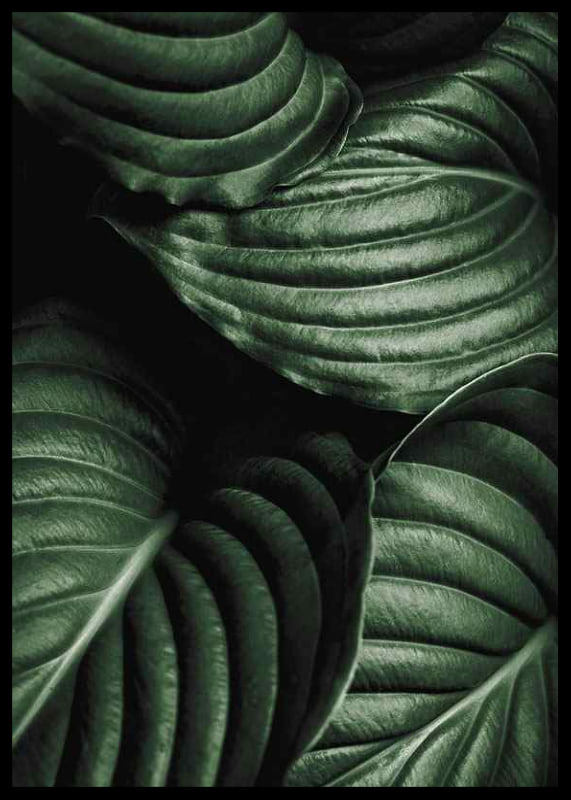 Intense Green No3-12