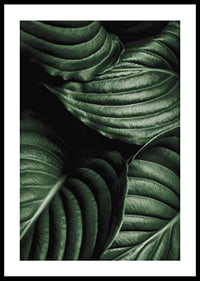 Intense Green No3-0