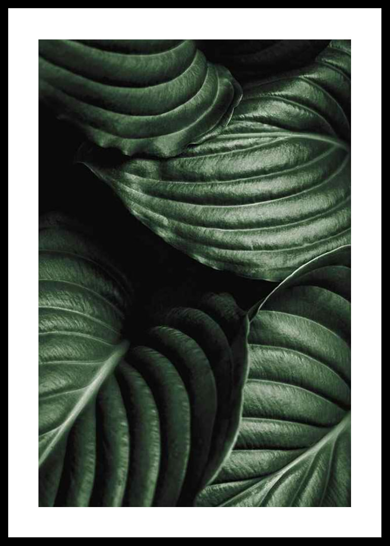 Intense Green No3-12