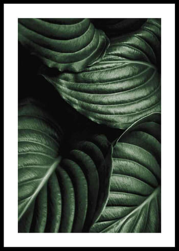 Poster Intense Green No3