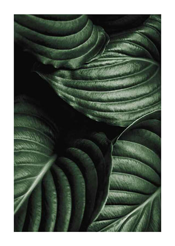 Poster Intense Green No3