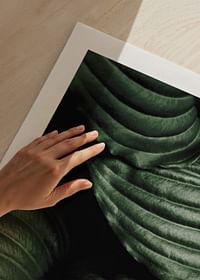 Intense Green No3-5