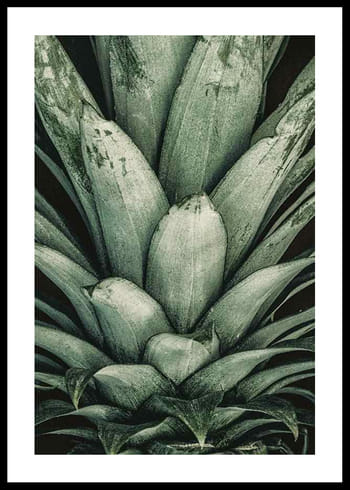 Poster Pineapple Close