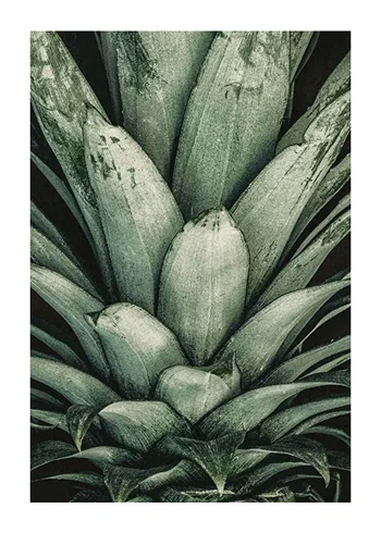 Poster Pineapple Close