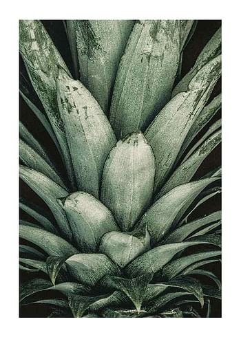 Affiche Pineapple Close