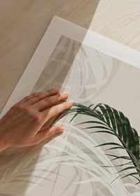 Abstract Palm Leaves No1-9