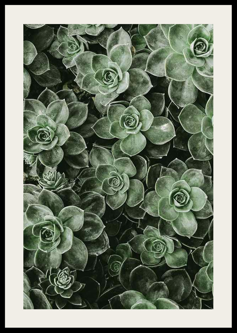Close Up Green-12