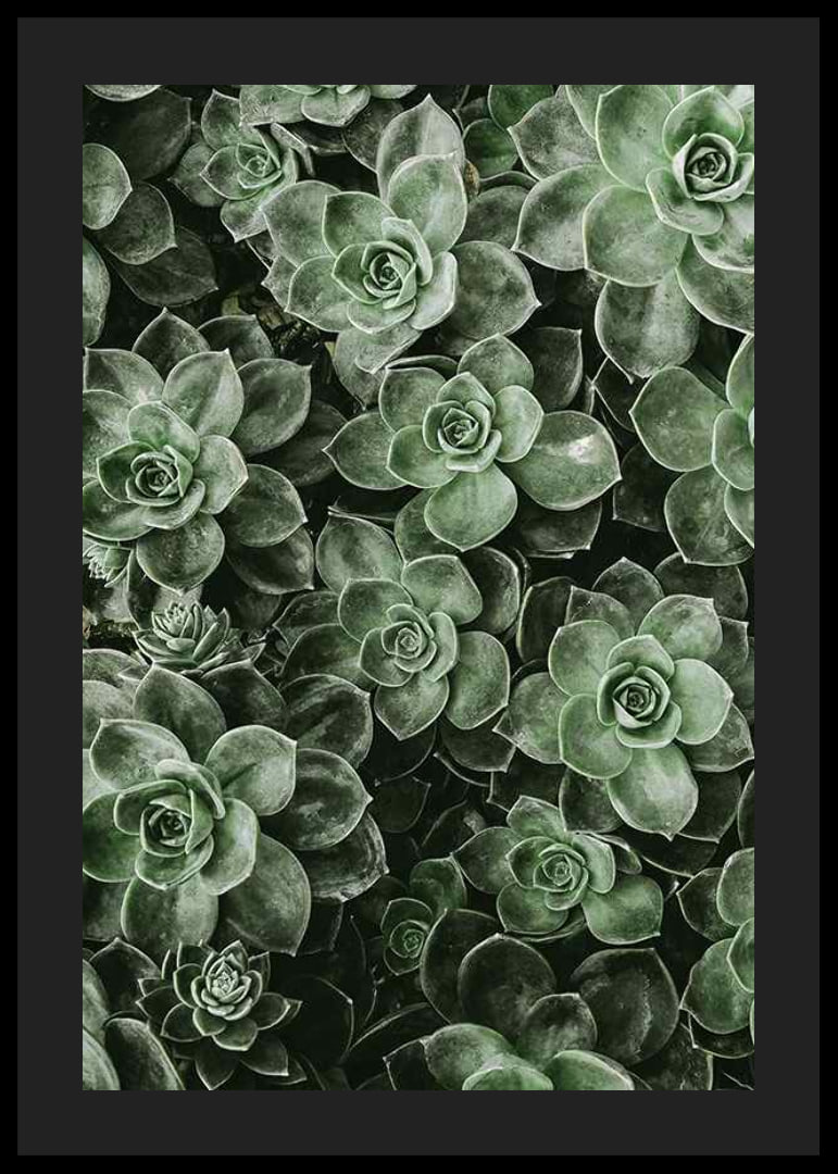 Close Up Green-12