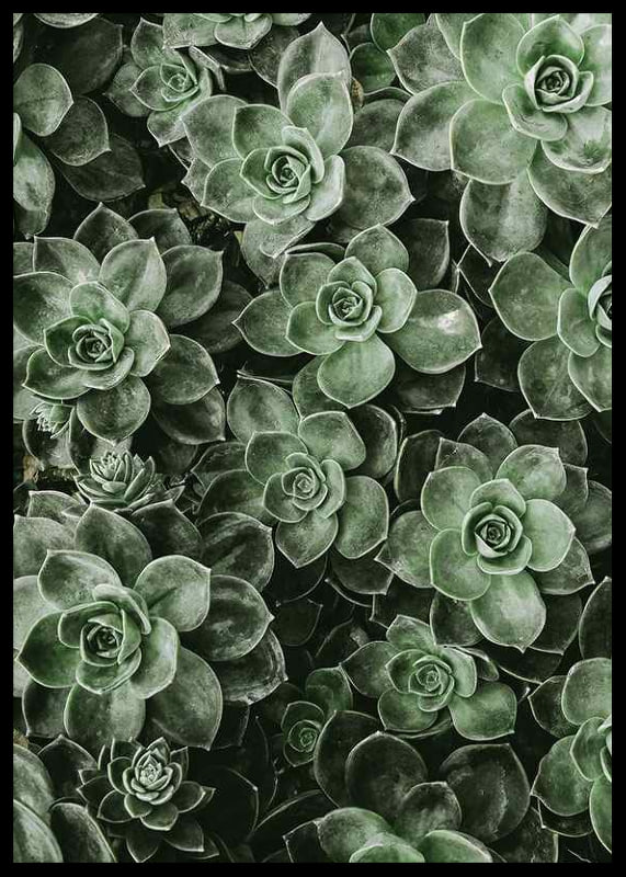 Close Up Green-12