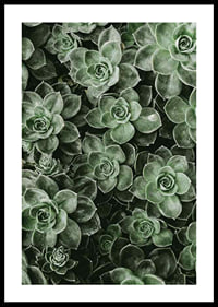 Close Up Green-0