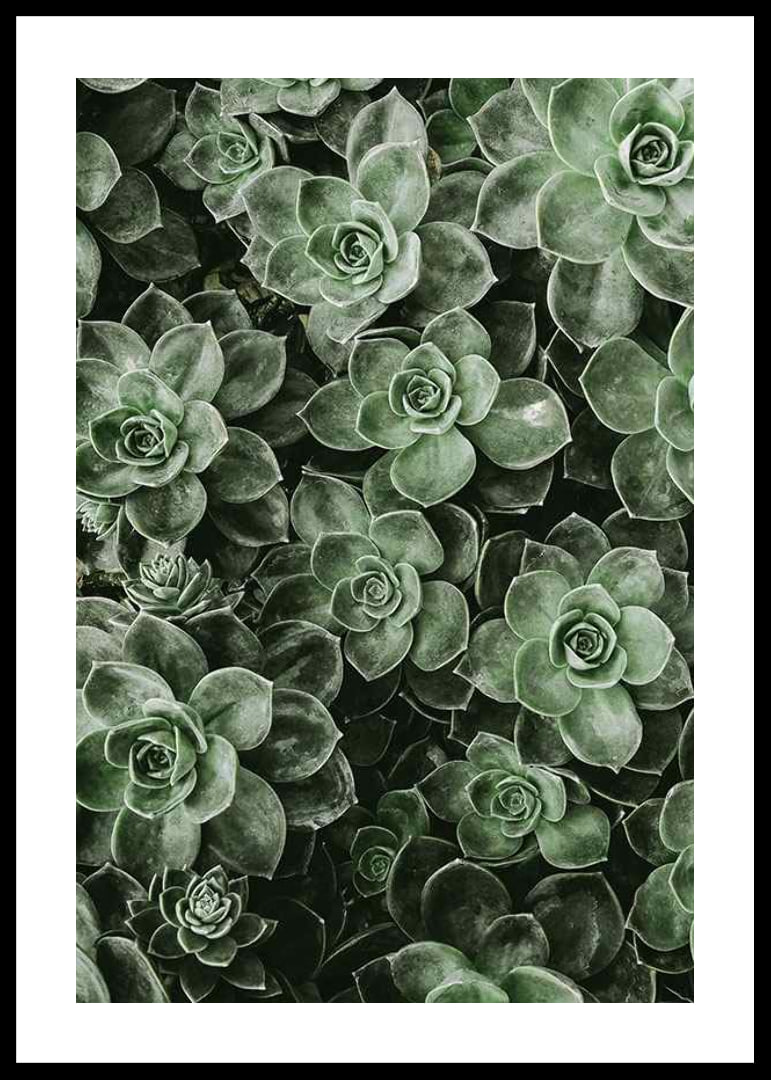 Close Up Green-12