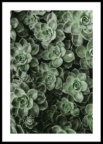 Poster Close Up Green