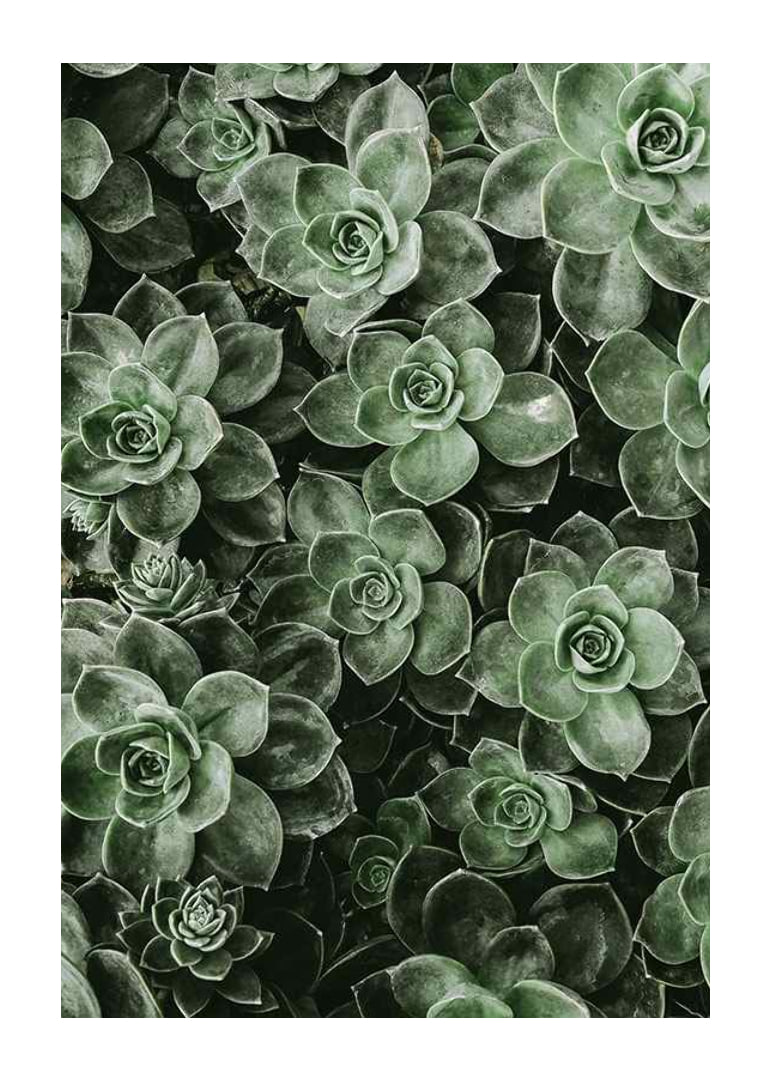 Close Up Green-12