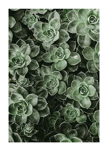 Poster Close Up Green