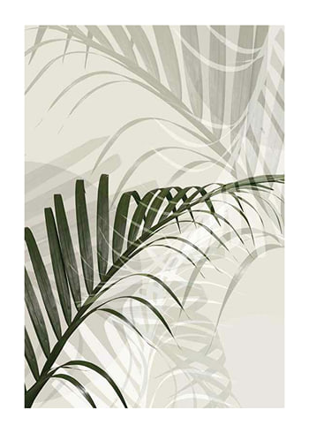 Poster Abstract Palm Leaves No2