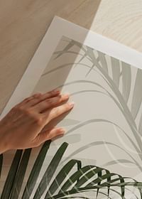 Abstract Palm Leaves No2-5