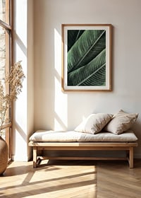 Banana Leaves No1-8