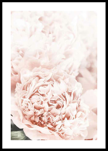 Póster Loving Roses No1