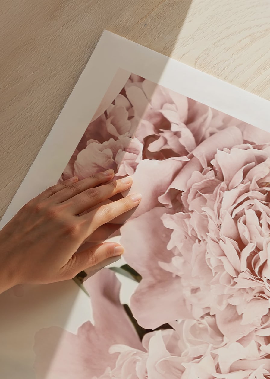 Close-up of pale pink peonies against light background, photographic-12