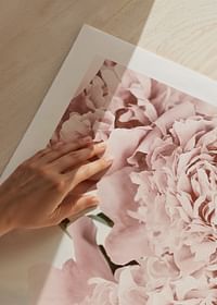 Loving Roses No2-5