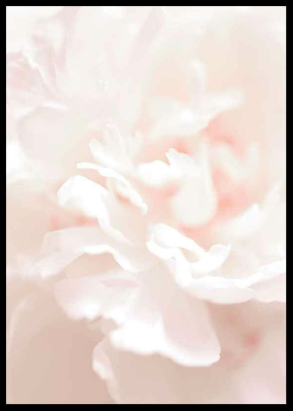 Close-up of light pink flower petals in soft, slightly blurred style-12