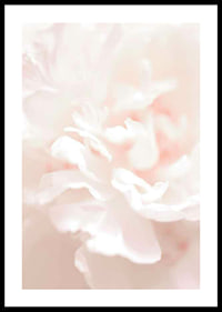Close-up of light pink flower petals in soft, slightly blurred style-0
