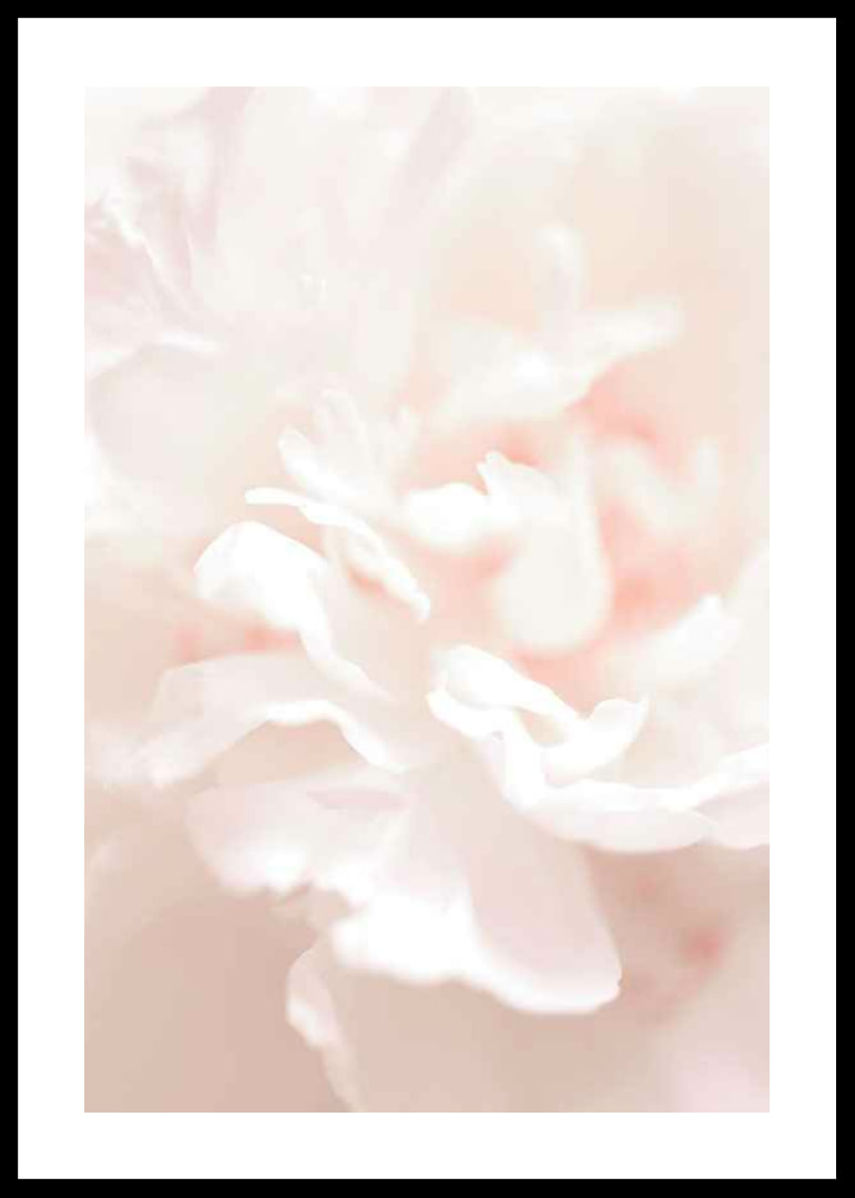 Close-up of light pink flower petals in soft, slightly blurred style-12
