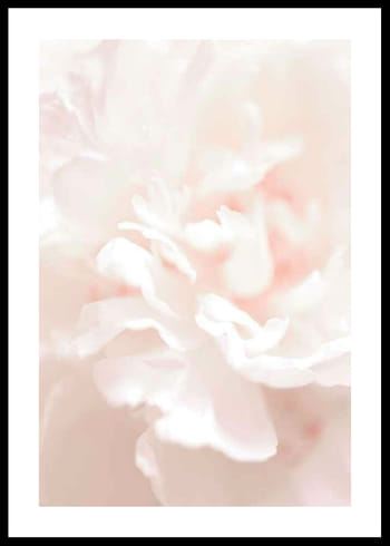 Poster Tender Flowers No1