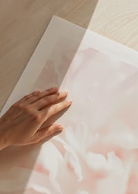 Close-up of light pink flower petals in soft, slightly blurred style-9