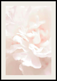 Close-up of light pink flower petals in soft, slightly blurred style-2