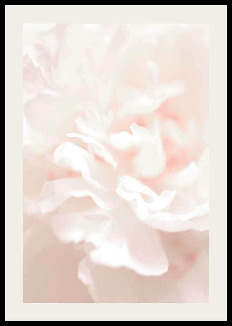 Close-up of light pink flower petals in soft, slightly blurred style-12