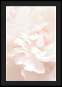 Close-up of light pink flower petals in soft, slightly blurred style-4