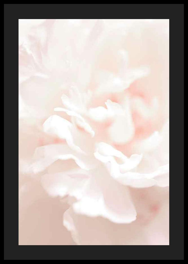 Close-up of light pink flower petals in soft, slightly blurred style-12