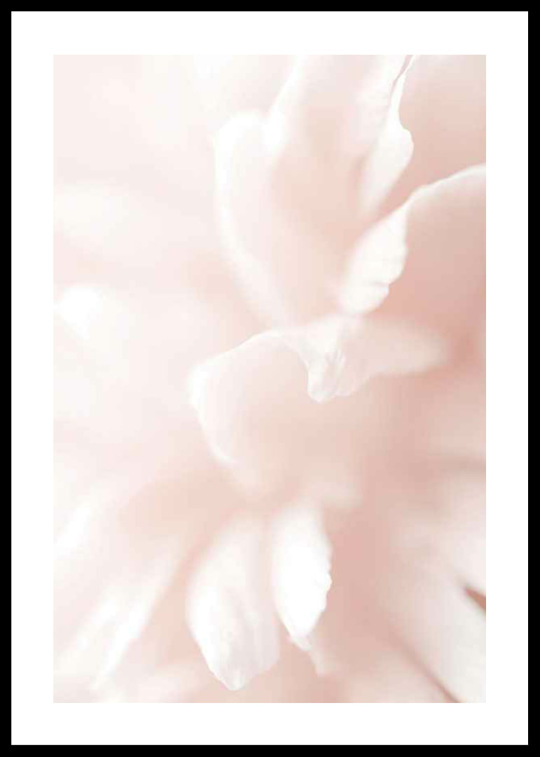 Close-up of light pink flower petals with soft blur-12