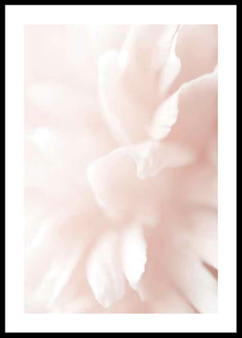 Poster Tender Flowers No3