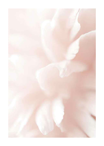 Plakat Tender Flowers No3