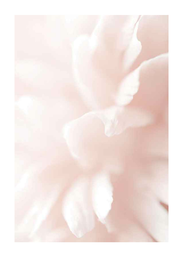 Close-up of light pink flower petals with soft blur-12