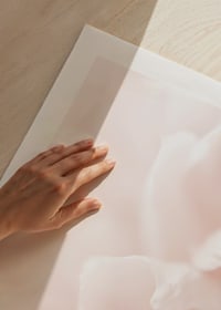 Close-up of light pink flower petals with soft blur-9