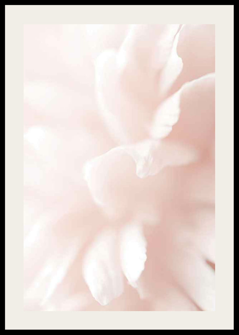 Detailný záber na svetloružové lupene kvetov s jemným rozmazaním-12