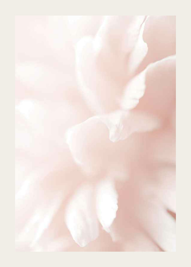 Close-up of light pink flower petals with soft blur-12